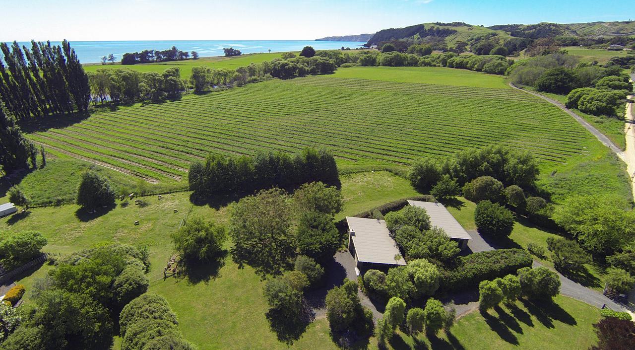 Te Awanga Cottages Exterior photo